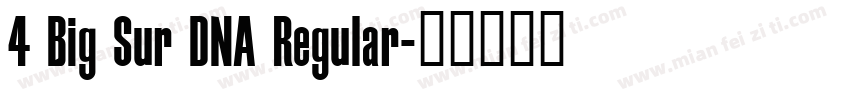 4 Big Sur DNA Regular字体转换